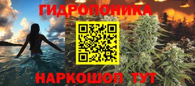 прущие крисы Обь
