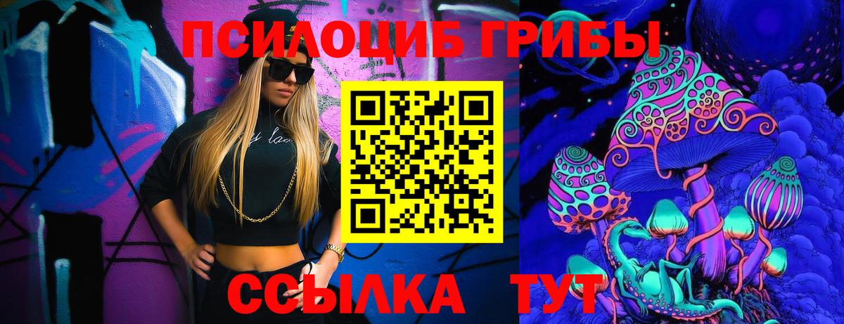 Псилоцибиновые грибы Psilocybe Скопин
