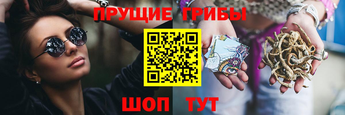 Галлюциногенные грибы мухоморы  Галлюциногенные грибы GOLDEN TEACHER  Скопин  Вход с VPN 